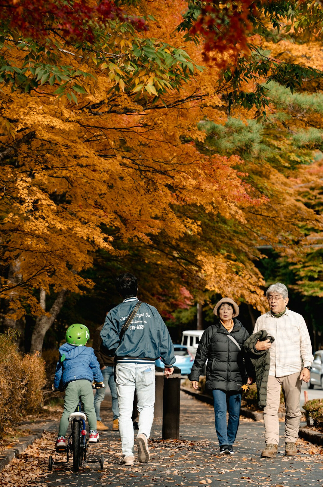 elderly couple walking park
