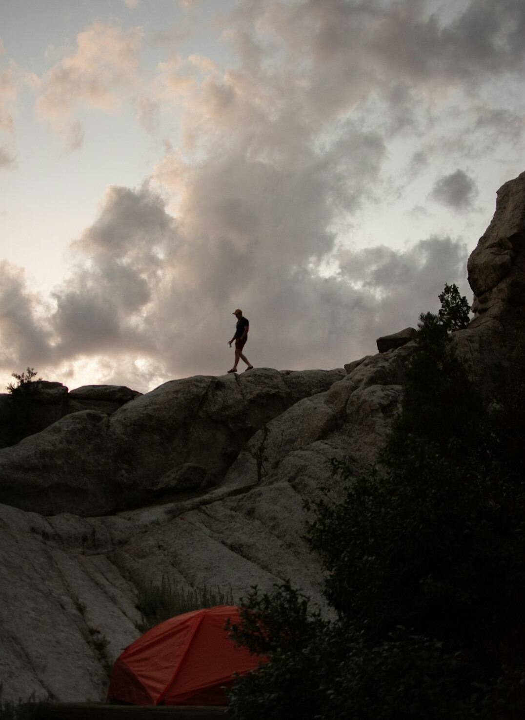 person walking in nature